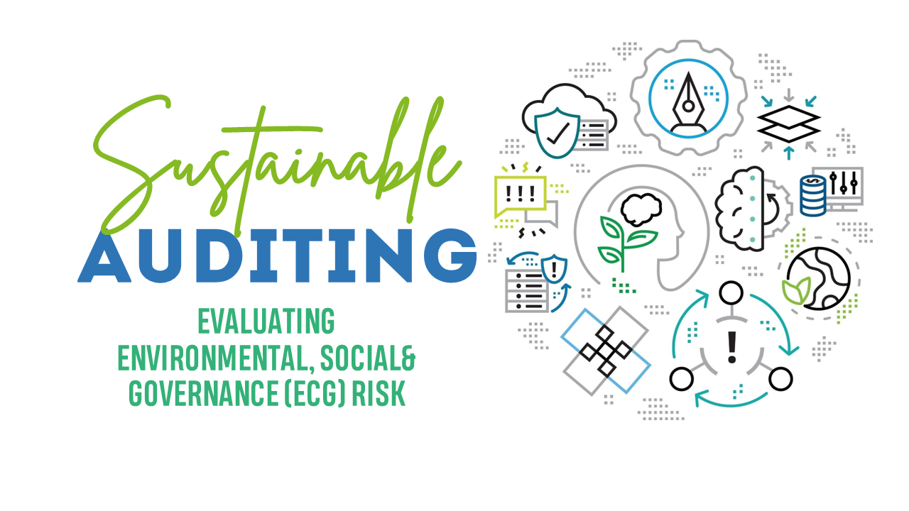SUSTAINABLE AUDITING: EVALUATING ENVIRONMENTAL, SOCIAL AND GOVERNANCE (ECG) RISKS- Part 1
