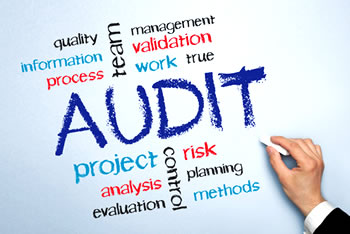 AUDITOR’S REPORT